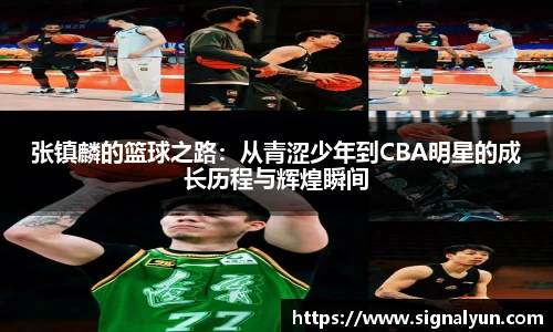 张镇麟的篮球之路：从青涩少年到CBA明星的成长历程与辉煌瞬间
